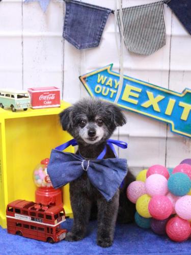 20230413ヒナちゃん